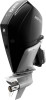 Mercury V 250 AM DS – billede